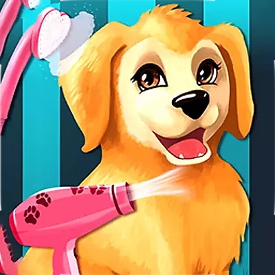 Word een puppytrimmer