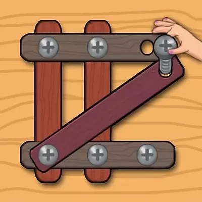 Wood Nuts Master Schroefpuzzel