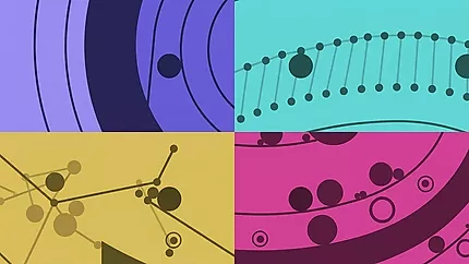 CircloO 2