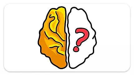 Brain Out
